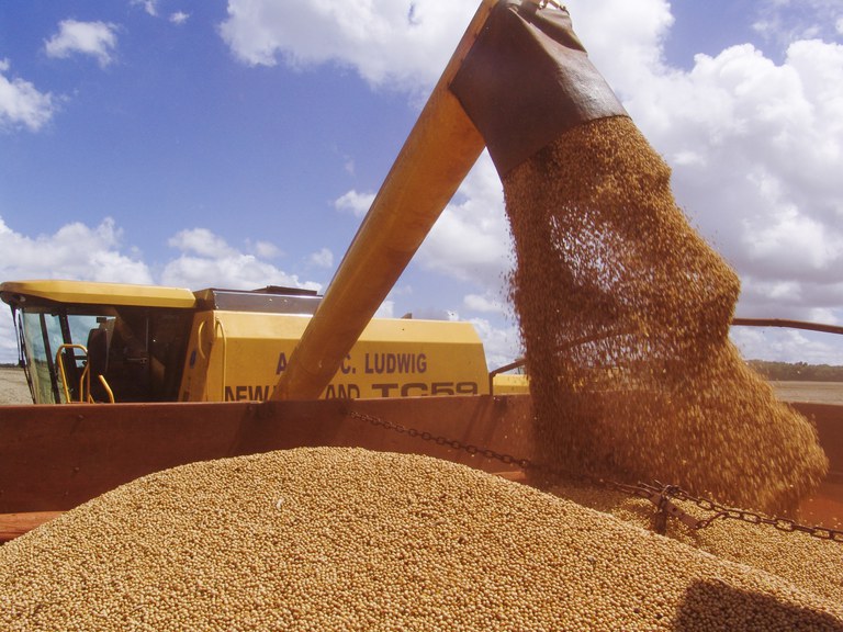 Conab estima novo aumento na produção de grãos no país, chegando a 325,7 milhões de toneladas